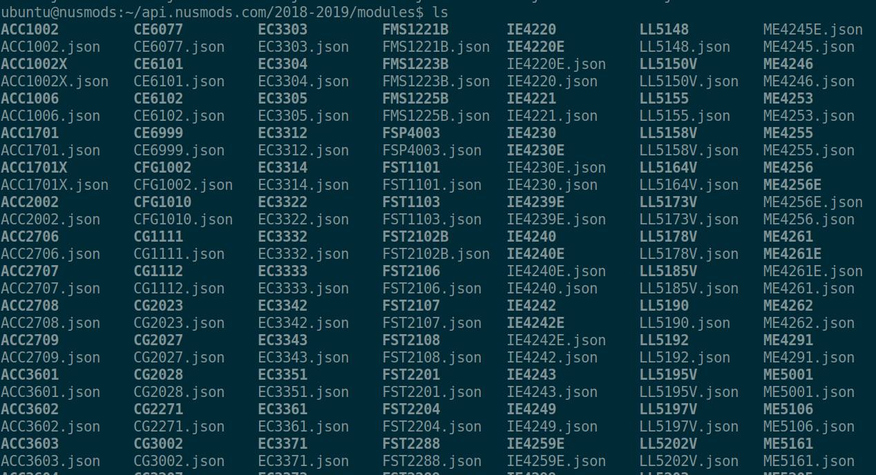 Command line terminal displaying module info as JSON data files